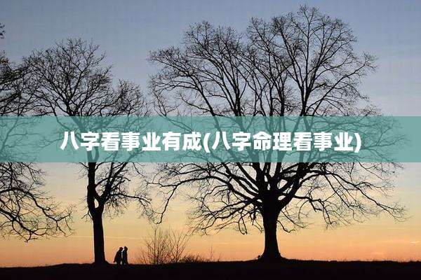 八字看事业有成(八字命理看事业)
