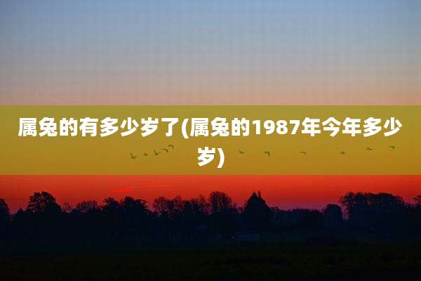属兔的有多少岁了(属兔的1987年今年多少岁)