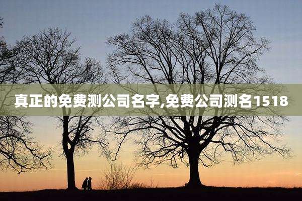 真正的免费测公司名字,免费公司测名1518