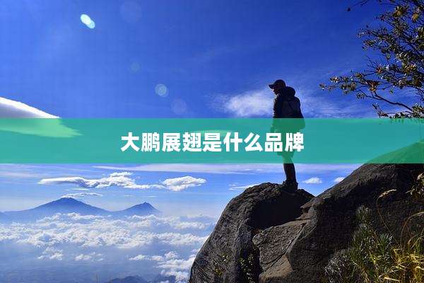 大鹏展翅是什么品牌