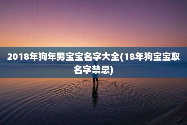 2018年狗年男宝宝名字大全(18年狗宝宝取名字禁忌)