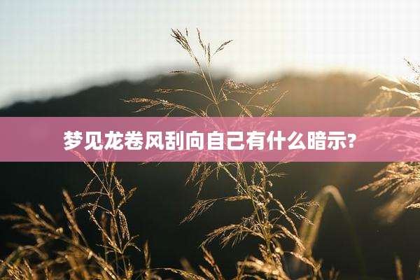 梦见龙卷风刮向自己有什么暗示?