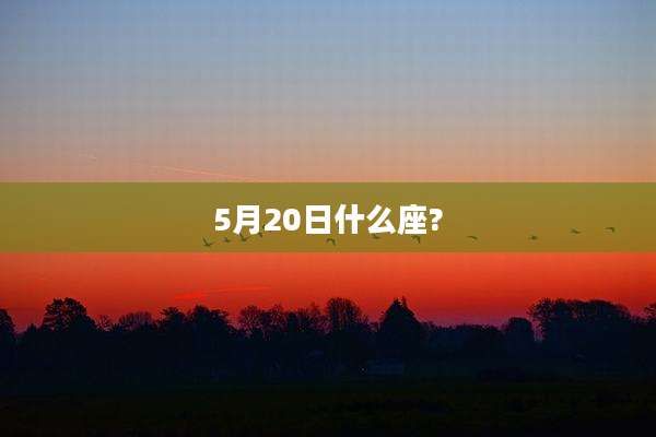 5月20日什么座?