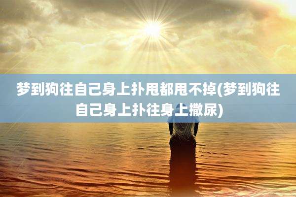 梦到狗往自己身上扑甩都甩不掉(梦到狗往自己身上扑往身上撒尿)