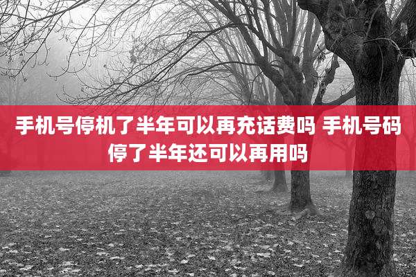 手机号停机了半年可以再充话费吗 手机号码停了半年还可以再用吗