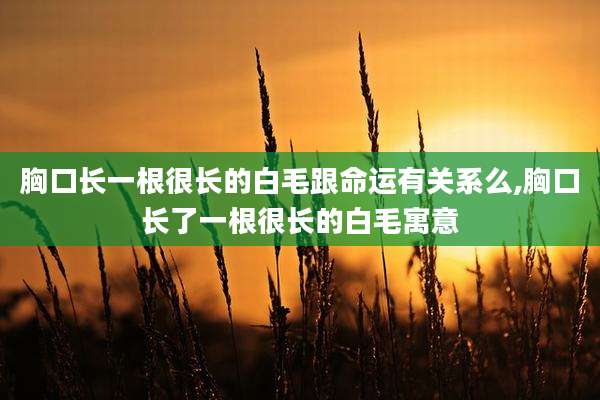 胸口长一根很长的白毛跟命运有关系么,胸口长了一根很长的白毛寓意