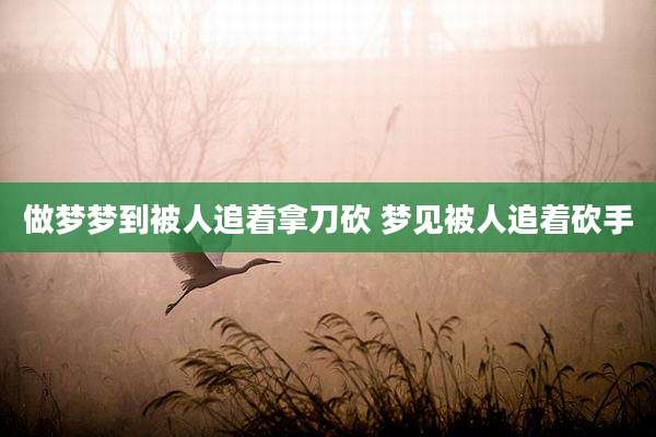 做梦梦到被人追着拿刀砍 梦见被人追着砍手