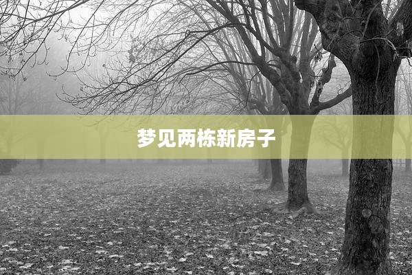梦见两栋新房子