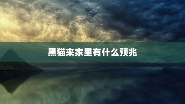 黑猫来家里有什么预兆
