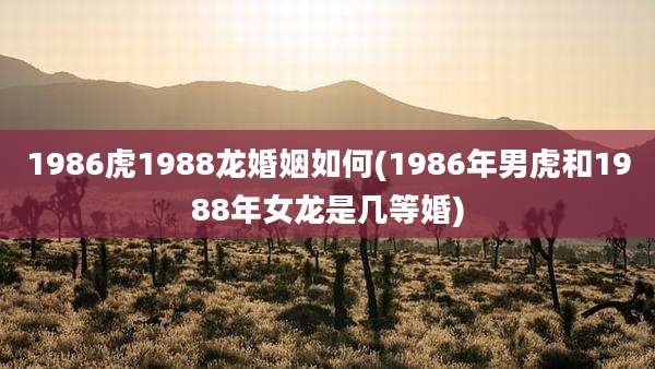 1986虎1988龙婚姻如何(1986年男虎和1988年女龙是几等婚)