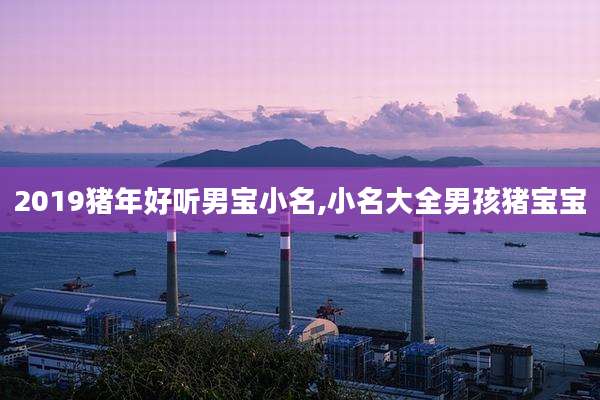 2019猪年好听男宝小名,小名大全男孩猪宝宝