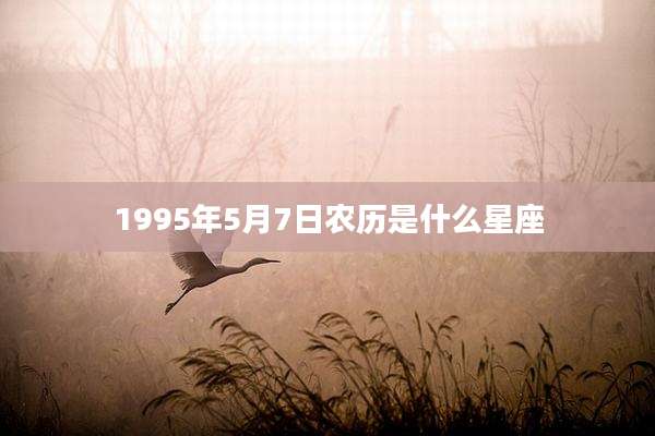 1995年5月7日农历是什么星座