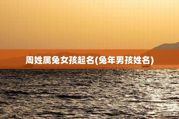 周姓属兔女孩起名(兔年男孩姓名)