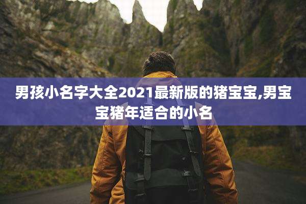 男孩小名字大全2021最新版的猪宝宝,男宝宝猪年适合的小名