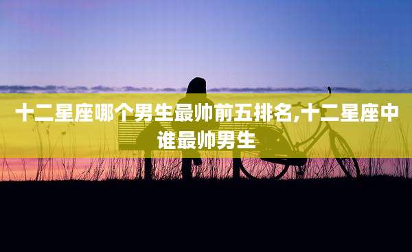 十二星座哪个男生最帅前五排名,十二星座中谁最帅男生