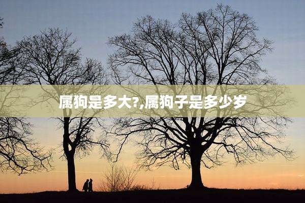 属狗是多大?,属狗子是多少岁