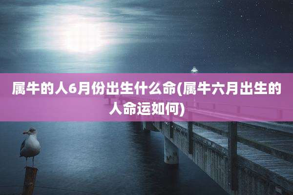 属牛的人6月份出生什么命(属牛六月出生的人命运如何)