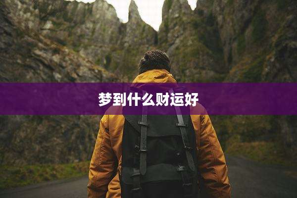 梦到什么财运好