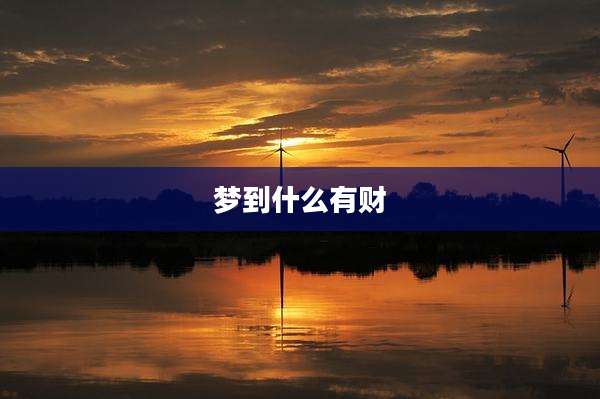 梦到什么有财