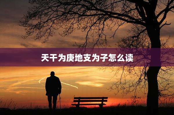 天干为庚地支为子怎么读