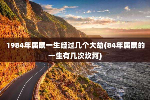 1984年属鼠一生经过几个大劫(84年属鼠的一生有几次坎坷)