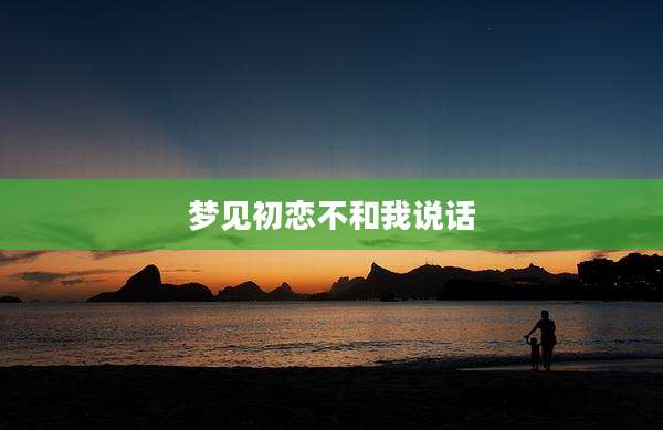 梦见初恋不和我说话