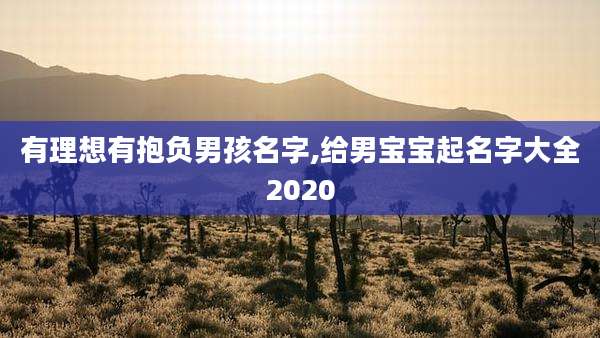 有理想有抱负男孩名字,给男宝宝起名字大全2020
