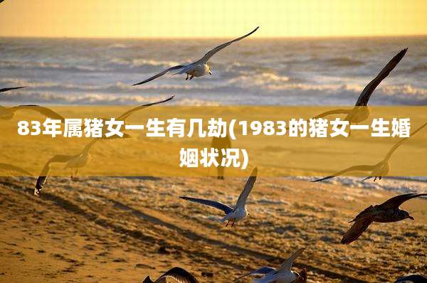83年属猪女一生有几劫(1983的猪女一生婚姻状况)