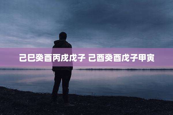 己巳癸酉丙戌戊子 己酉癸酉戊子甲寅
