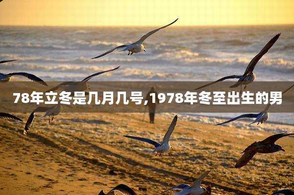 78年立冬是几月几号,1978年冬至出生的男