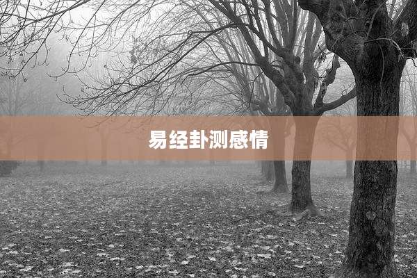 易经卦测感情