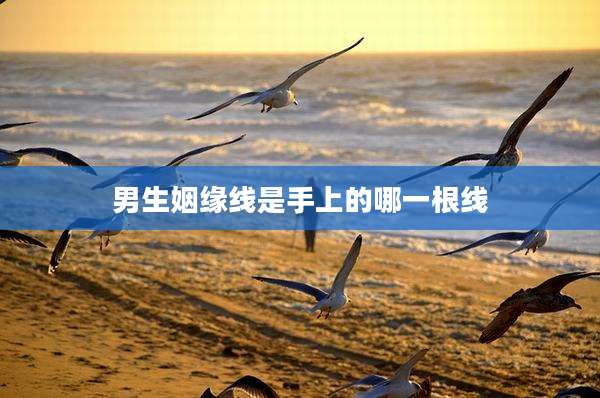 男生姻缘线是手上的哪一根线