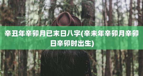 辛丑年辛卯月已末日八字(辛未年辛卯月辛卯日辛卯时出生)
