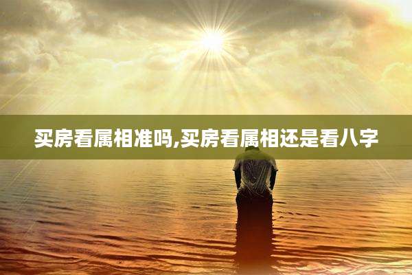 买房看属相准吗,买房看属相还是看八字