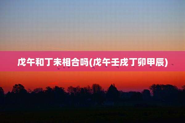 戊午和丁未相合吗(戊午壬戌丁卯甲辰)