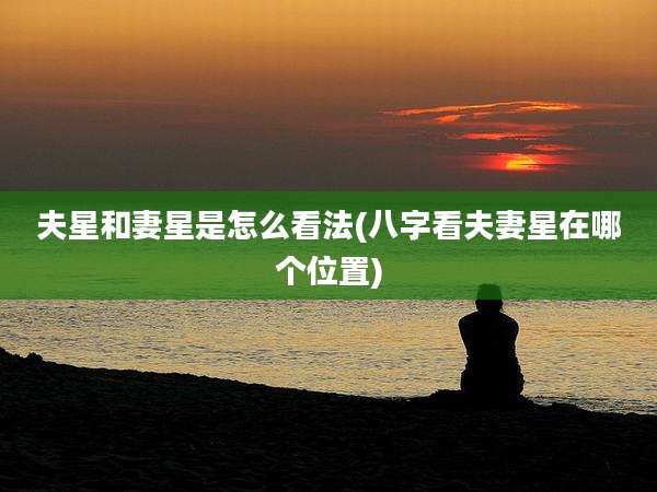 夫星和妻星是怎么看法(八字看夫妻星在哪个位置)