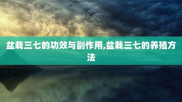 盆栽三七的功效与副作用,盆栽三七的养殖方法