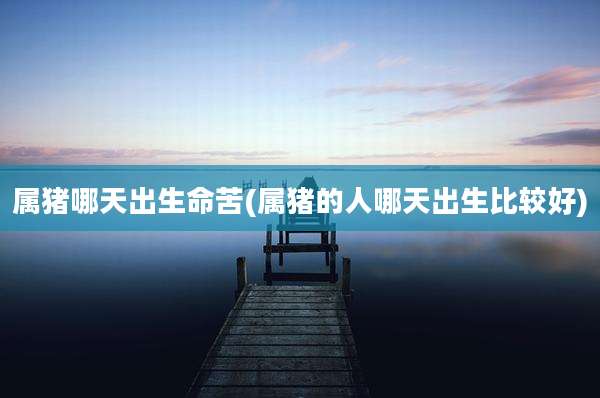 属猪哪天出生命苦(属猪的人哪天出生比较好)