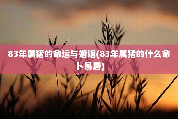 83年属猪的命运与婚姻(83年属猪的什么命卜易居)