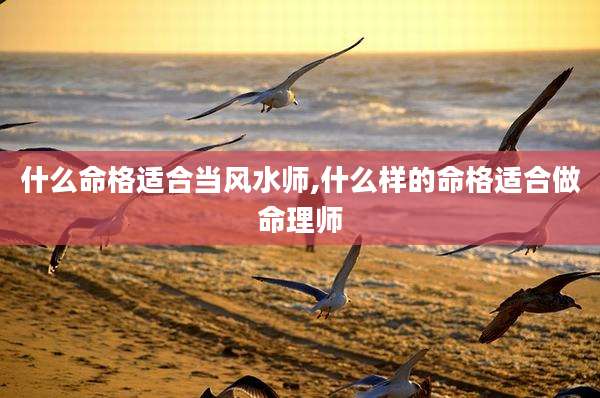 什么命格适合当风水师,什么样的命格适合做命理师