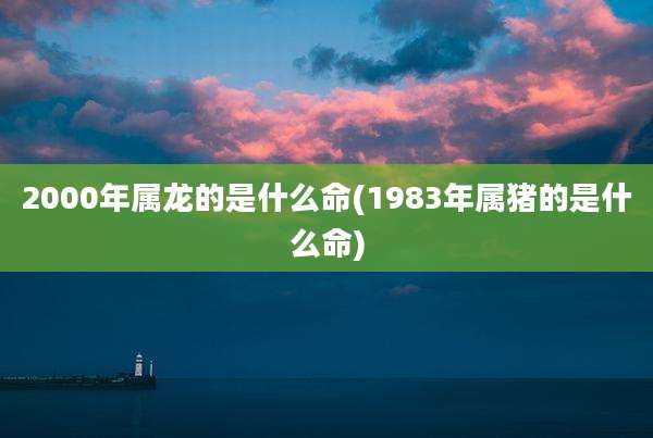 2000年属龙的是什么命(1983年属猪的是什么命)