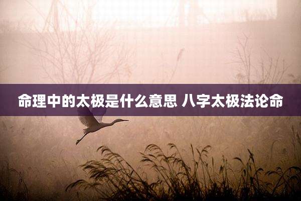 命理中的太极是什么意思 八字太极法论命
