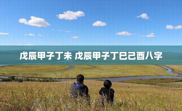 戊辰甲子丁未 戊辰甲子丁巳己酉八字