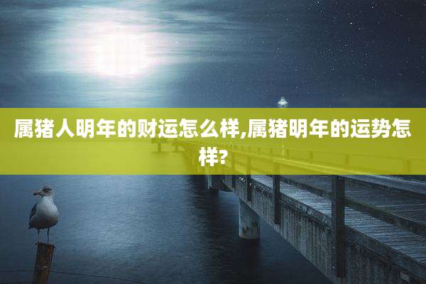 属猪人明年的财运怎么样,属猪明年的运势怎样?