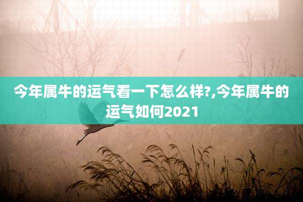 今年属牛的运气看一下怎么样?,今年属牛的运气如何2021