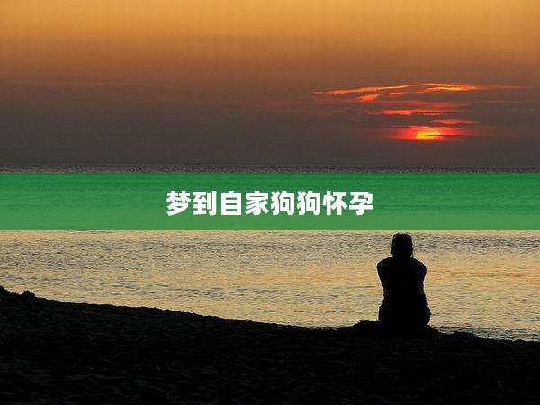 梦到自家狗狗怀孕