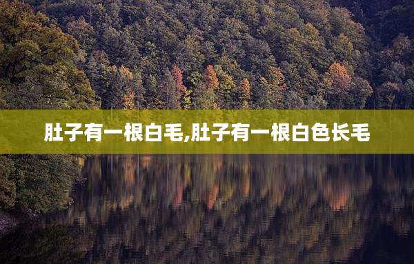 肚子有一根白毛,肚子有一根白色长毛