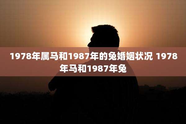1978年属马和1987年的兔婚姻状况 1978年马和1987年兔