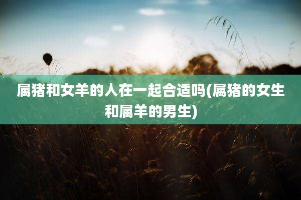 属猪和女羊的人在一起合适吗(属猪的女生和属羊的男生)