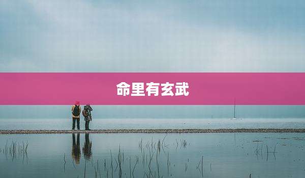 命里有玄武